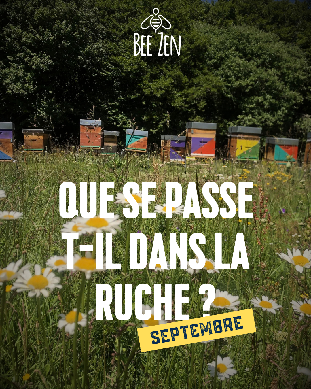 Illustration de l'article sur la vie de la ruche en septembre