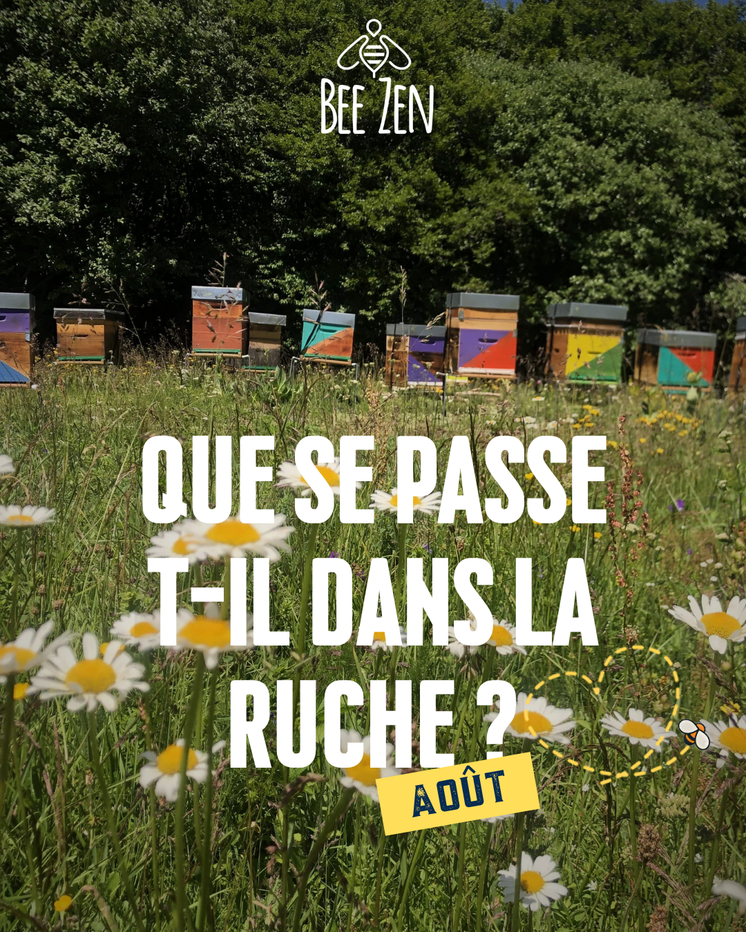 Que se passe-t-il dans la ruche en août ?