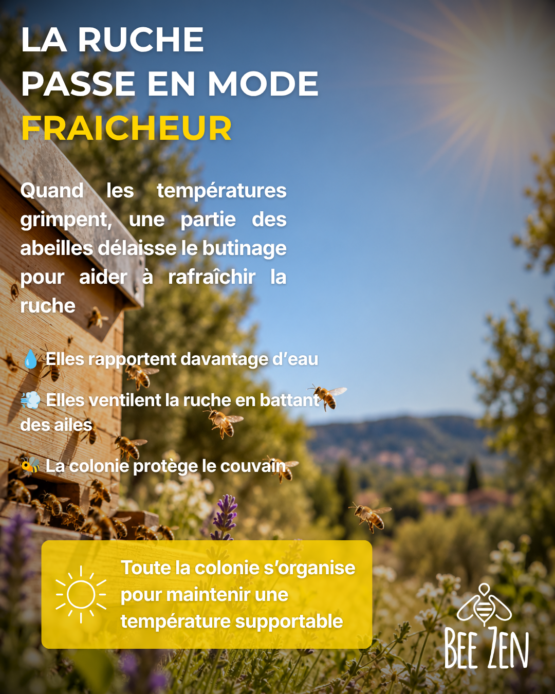 Heatwaves : A Major Challenge for Bees
