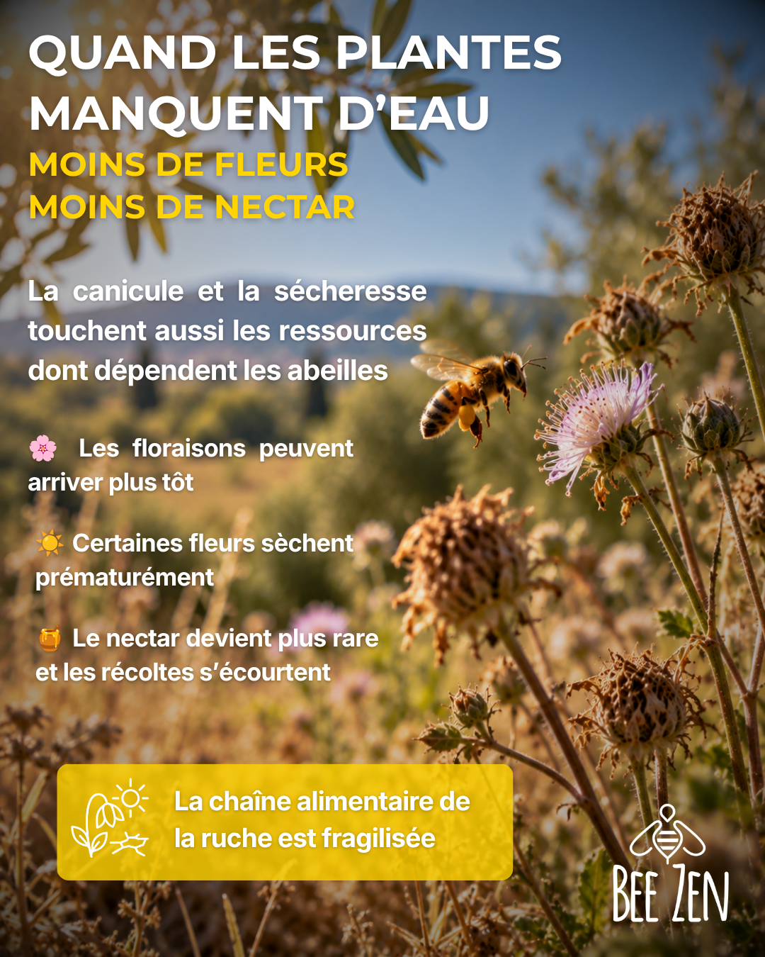 Heatwaves : A Major Challenge for Bees