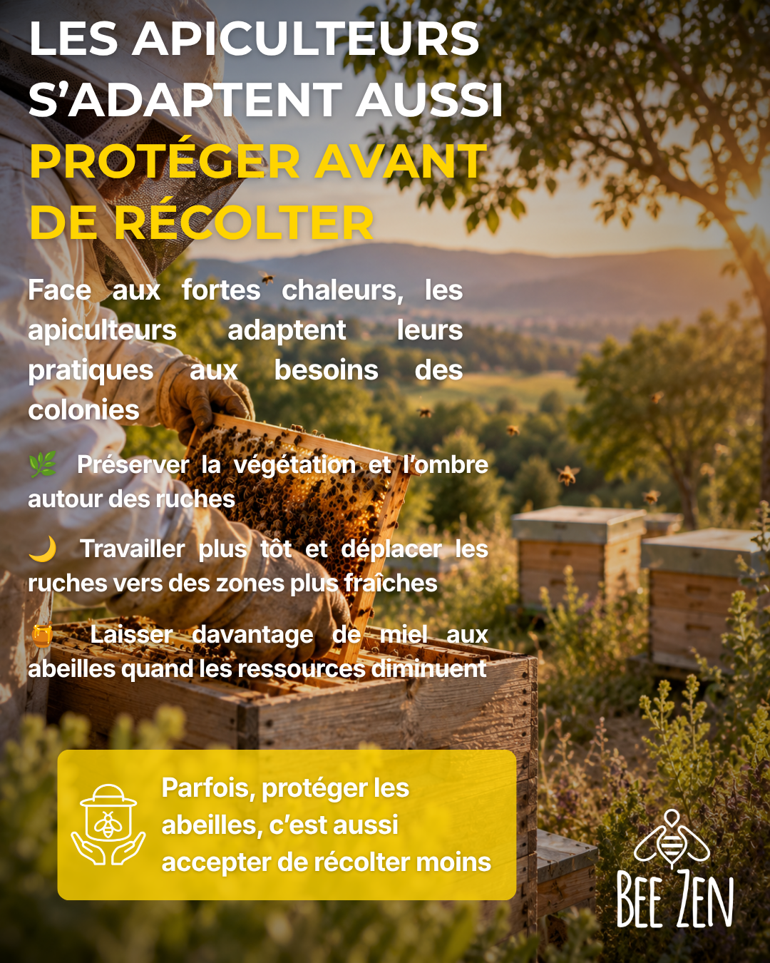 Heatwaves : A Major Challenge for Bees