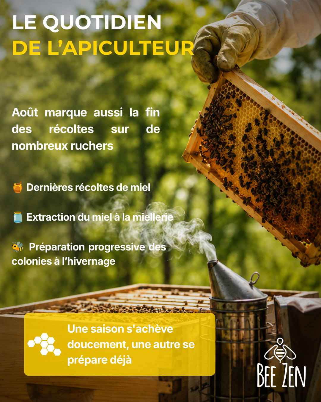 Que se passe-t-il dans la ruche en août ?